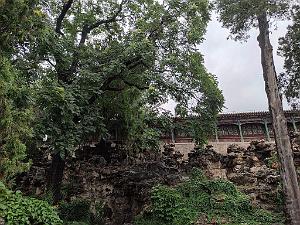 PEKIN - PARC BEIHAI (46)